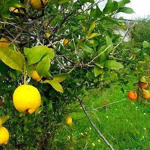 Archimede Vacanze Bed & Breakfast